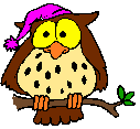 OISEAU